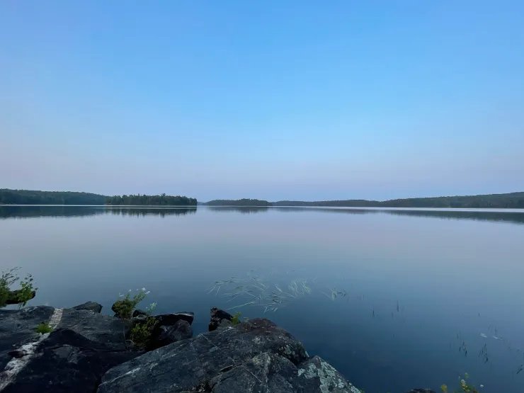 🏞️ 쇼난호 비오파크(쇼난코 비오파크) 이미지 9